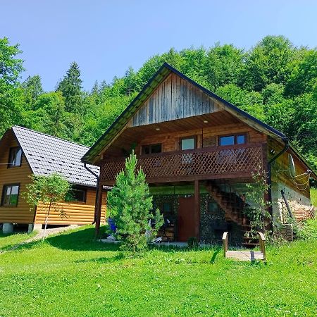 Під Горою Villa Şeşorî Exterior foto