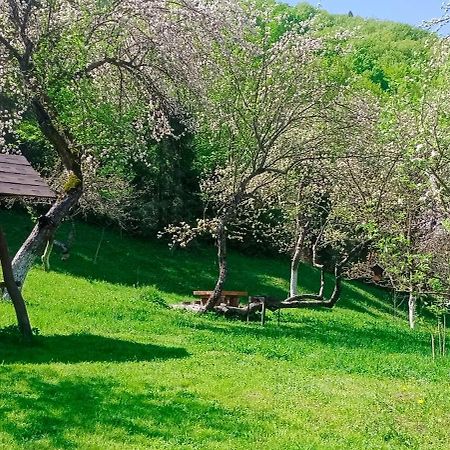 Під Горою Villa Şeşorî Exterior foto