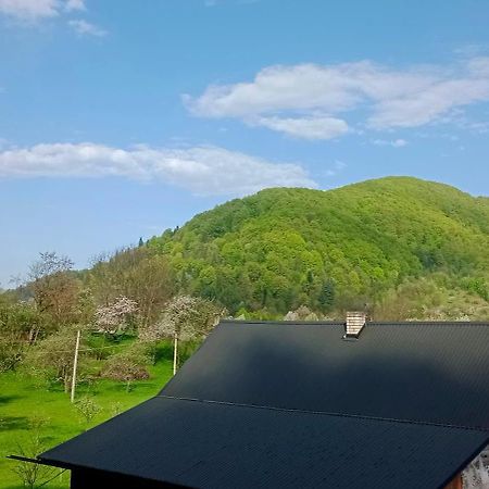 Під Горою Villa Şeşorî Exterior foto