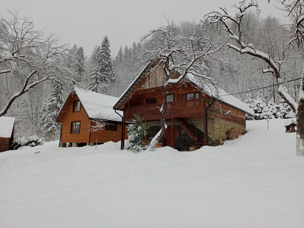 Під Горою Villa Şeşorî Exterior foto