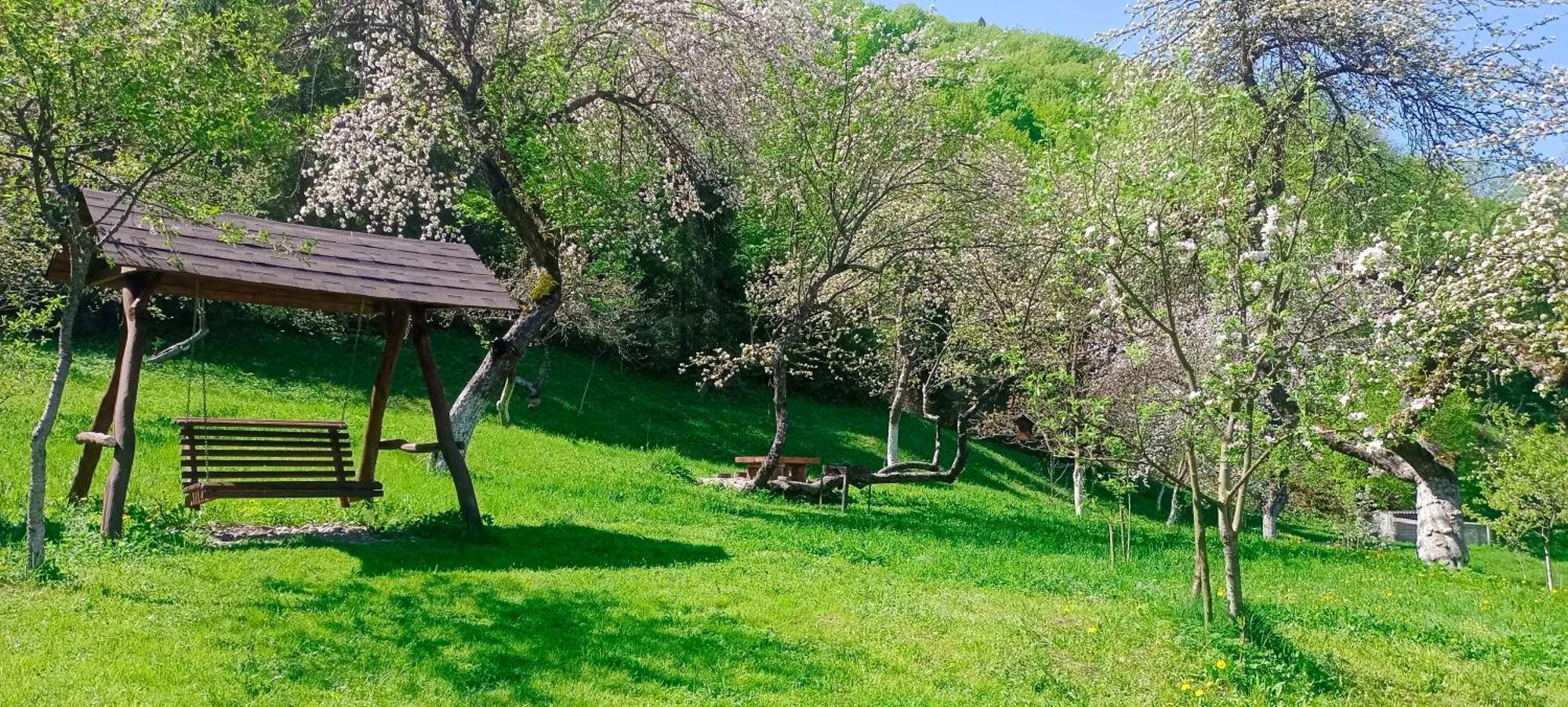 Під Горою Villa Şeşorî Exterior foto