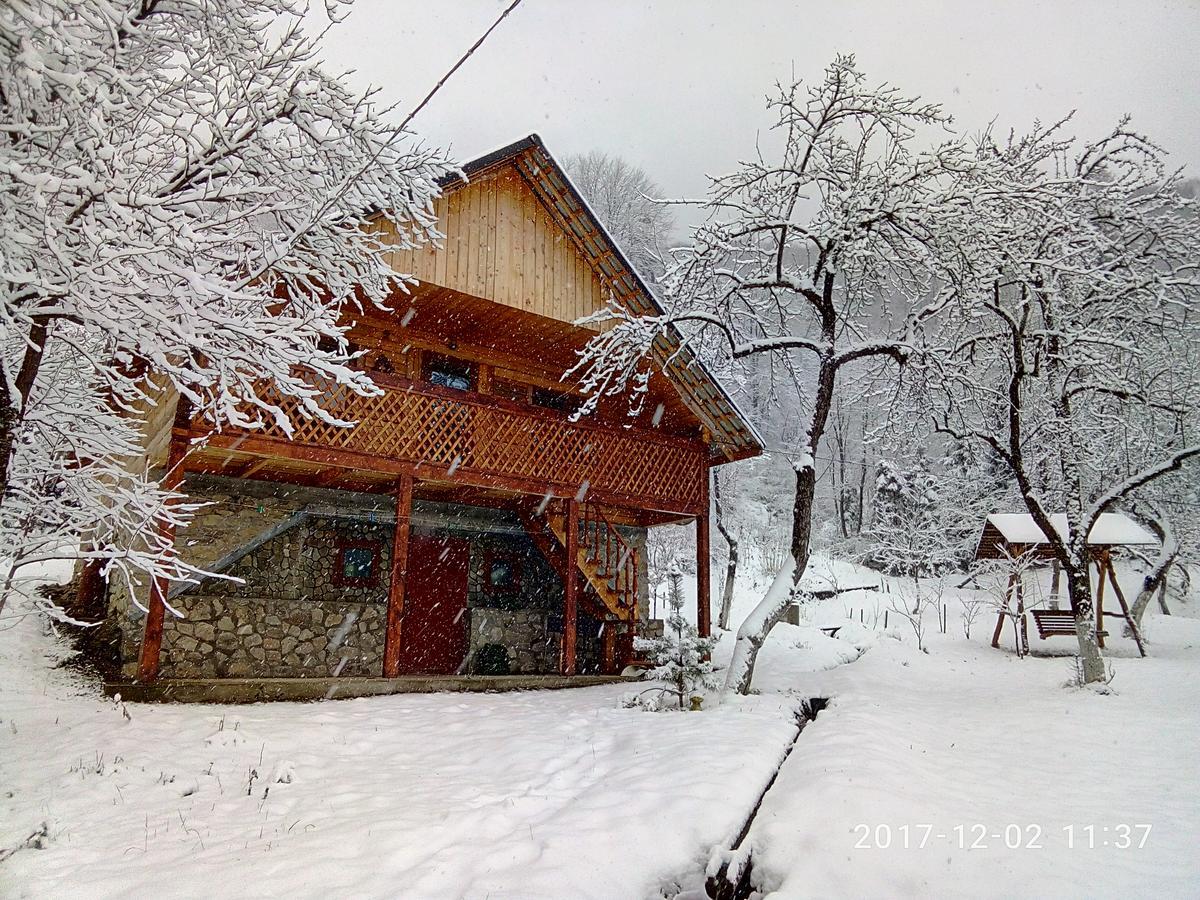 Під Горою Villa Şeşorî Exterior foto