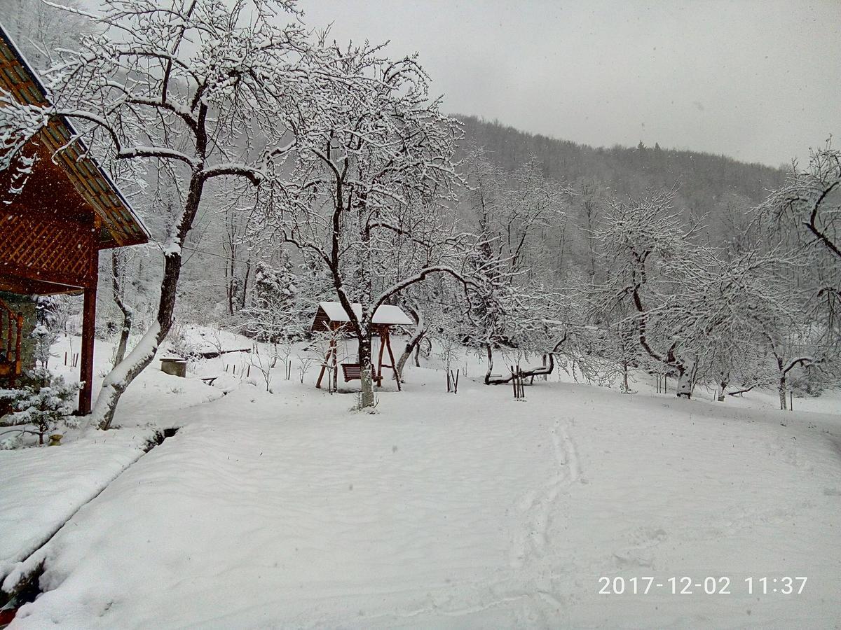 Під Горою Villa Şeşorî Exterior foto
