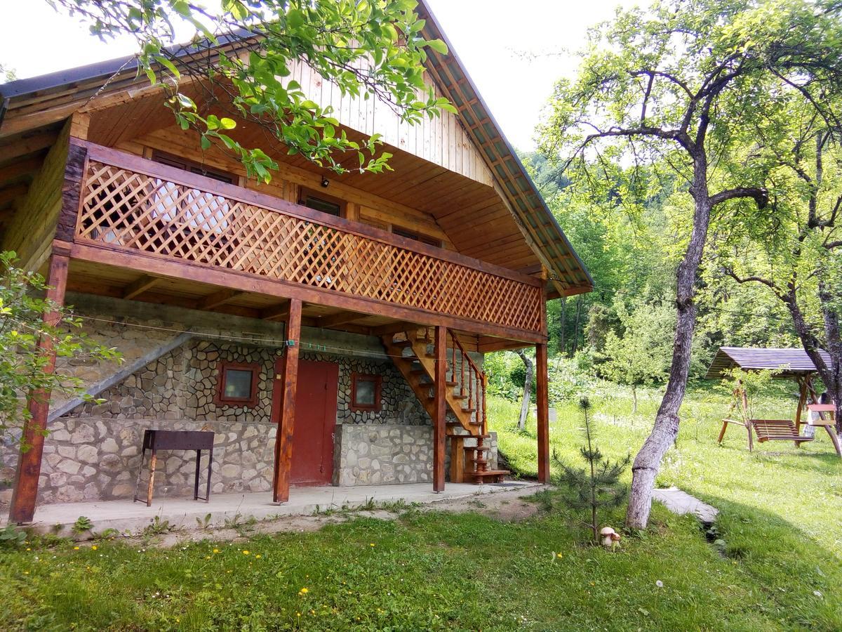 Під Горою Villa Şeşorî Exterior foto