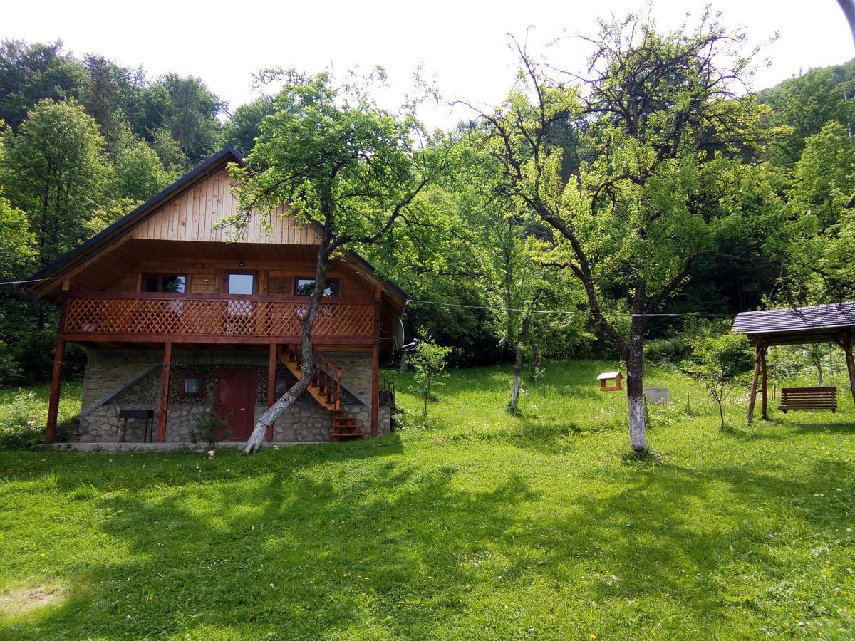Під Горою Villa Şeşorî Exterior foto